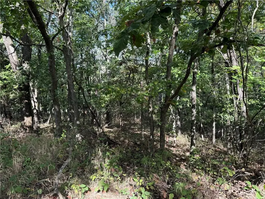 85 Windbrook Drive, La Cygne, KS 66040 - Image #3