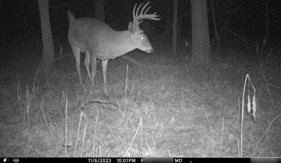 B Highway, Ridgeway, MO 64481 - Image #3