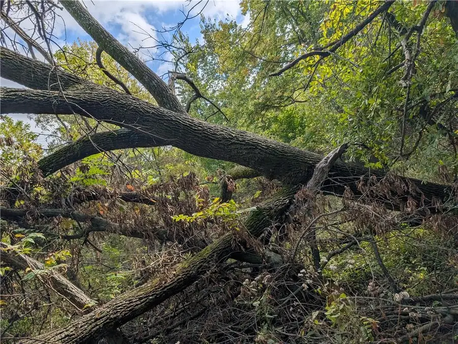 E 280th Street, Ridgeway, MO 64481 - Image #2