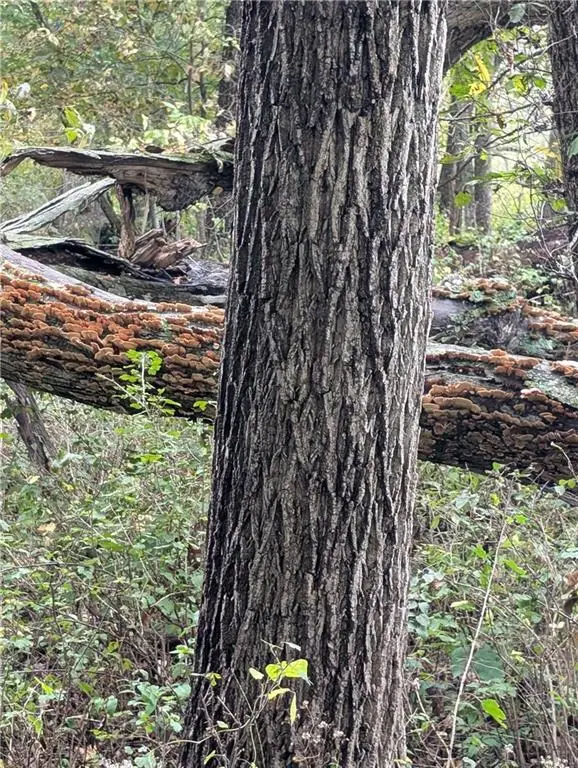 E 270th Avenue, Ridgeway, MO 64481 - Image #3