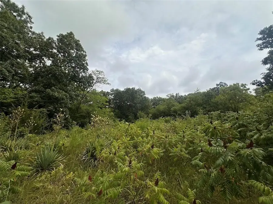 0000 Hickory Lane, Ozawkie, KS 66070 - Image #2