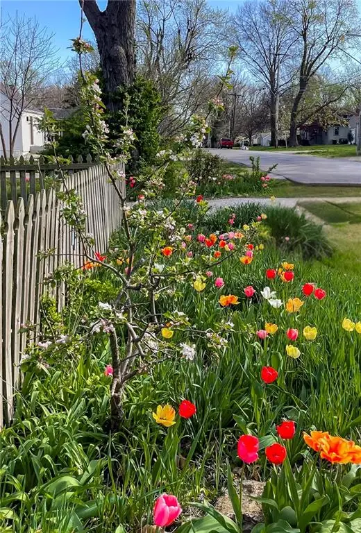 7729 Madison Avenue, Kansas City, MO 64114 - Image #3