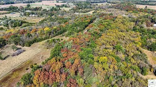 LOT 3 & 4 Main Street Road, Sedalia, MO 65301 - Image #3