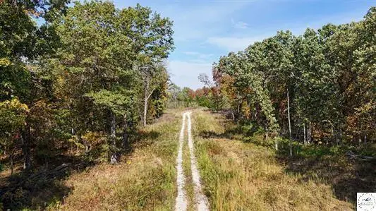 LOT 5 Main Street Road, Sedalia, MO 65301 - #3