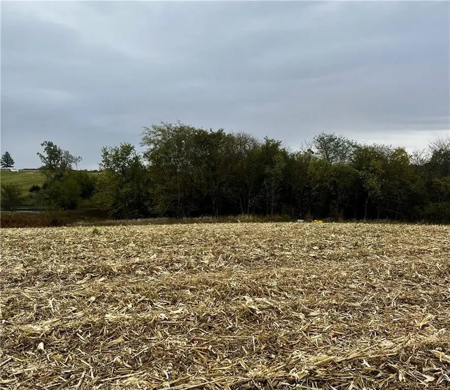 Tract 1 Country Road 422 Road, Amazonia, MO 64421 - Image #3