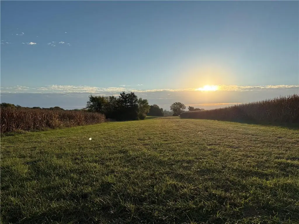 TBD 203rd Street, Peculiar, MO 64078 - #1