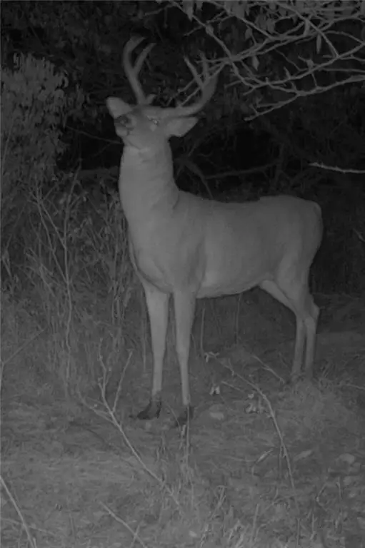 9033 Kiowa Road, Altamont, KS 67330 - Image #3