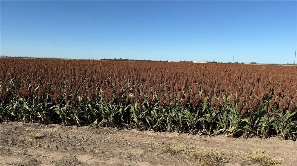Meade County C Road, Fowler, KS 67844 - #1