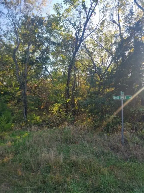 149 Rose Marie Drive, Linn Valley, KS 66040