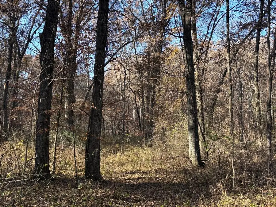 51500 River Road, Milan, MO 63556 - Image #2