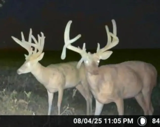 Address Withheld By Seller, Wellington, KS 67152 - #1