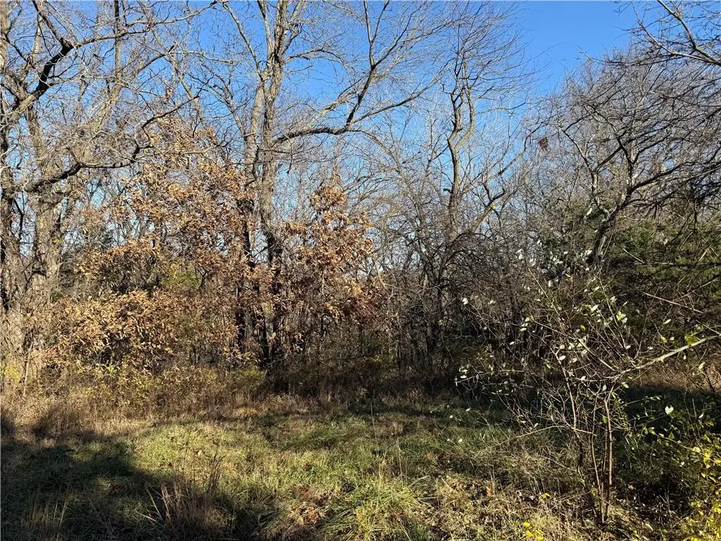 Lot 2349 Neptune Court, Gallatin, MO 64640 - Image #1