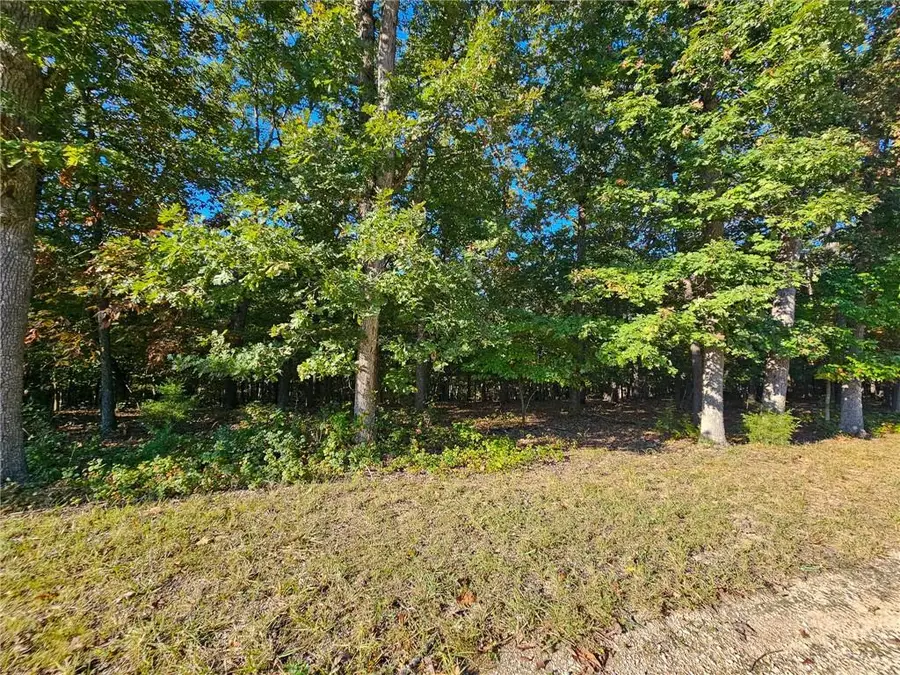 Lot #1060 Bittersweet Road, Village Of Four Seasons, MO 65049 - #2