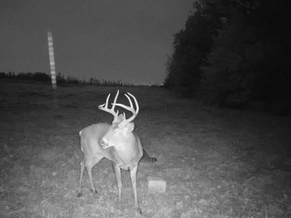 000 C Highway, Albany, MO 64402 - Image #2