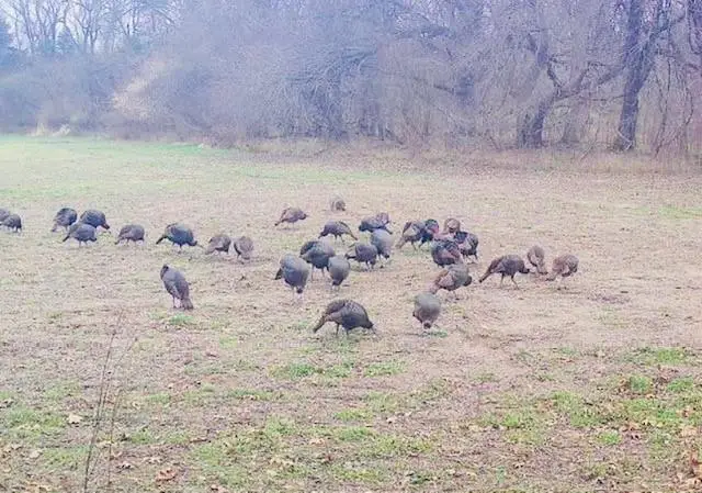 0000 2050 Road, Lecompton, KS 66050 - Image #2