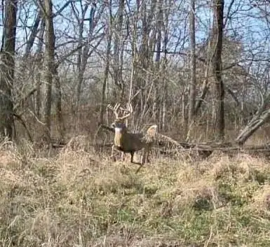 Hickory Grove Road, Richmond, MO 64085 - Image #1