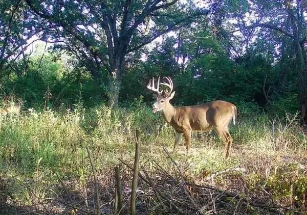 Argo Road, Independence, MO 64057