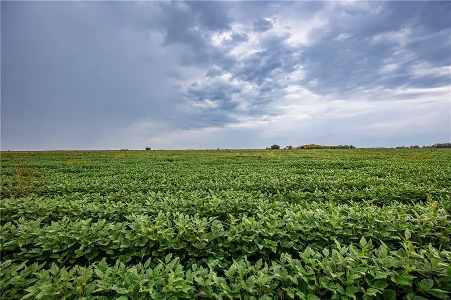 00000 Jackson Road, Reeder, KS 66080 - Image #2