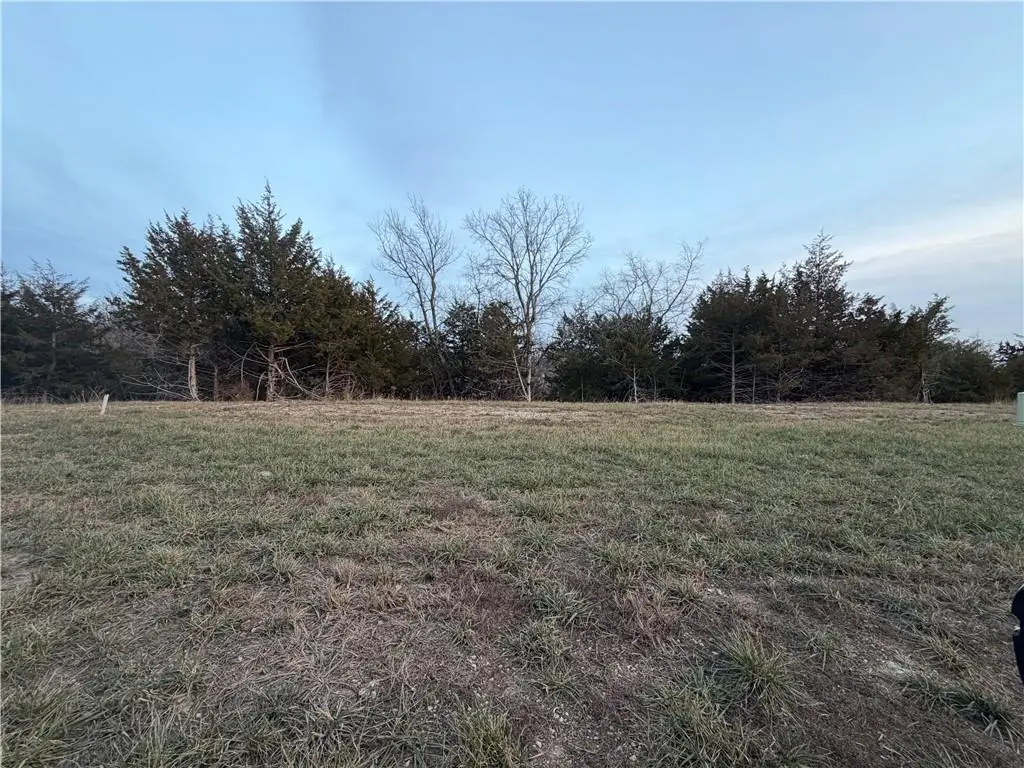 11527 S Houston Street, Olathe, KS 66061 - #1