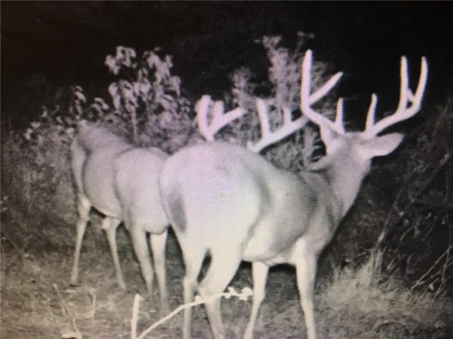 00000 W 363rd Street, Osawatomie, KS 66064 - Image #2