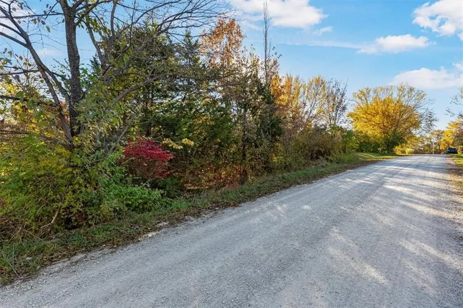 Wolfe Street, Excelsior Springs, MO 64024 - Image #3