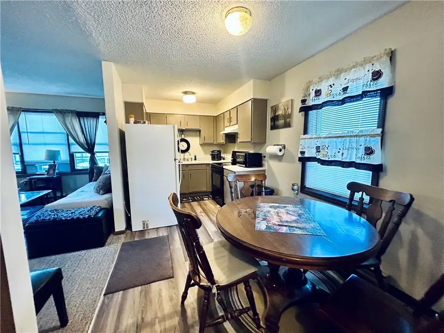 207 S Main Street, Louisiana, MO 63353 - Image #3