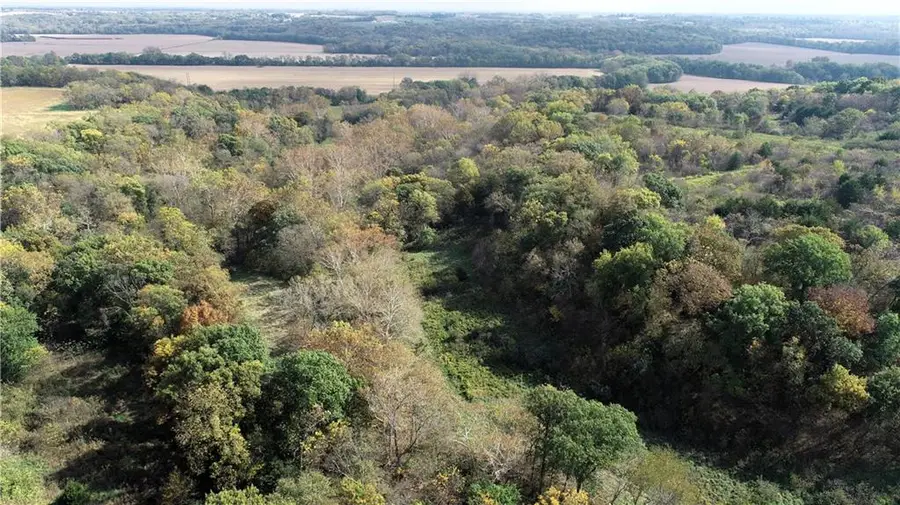 Tract 3 County Road 344 Road, Savannah, MO 64485 - Image #3