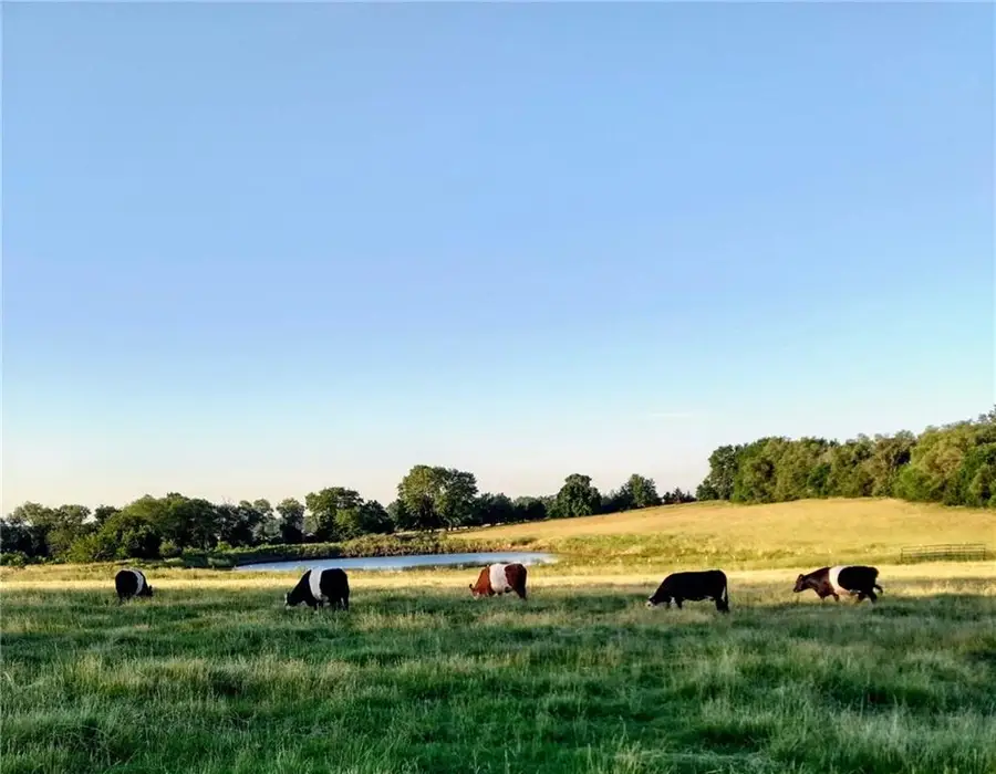 Lot 2 NW Plotsky Avenue, Plattsburg, MO 64477 - Image #3