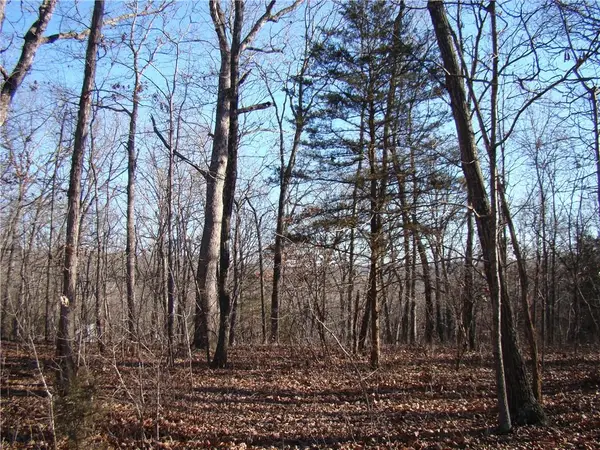 Gore Road, Lincoln, MO 65338