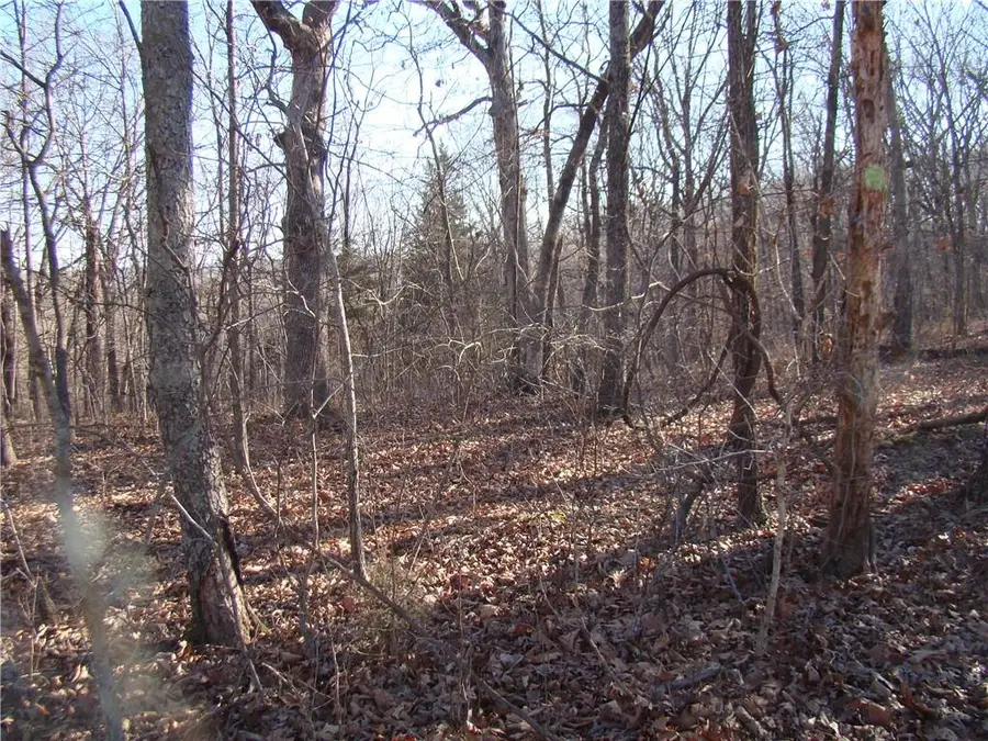 Gore Road, Lincoln, MO 65338 - Image #2