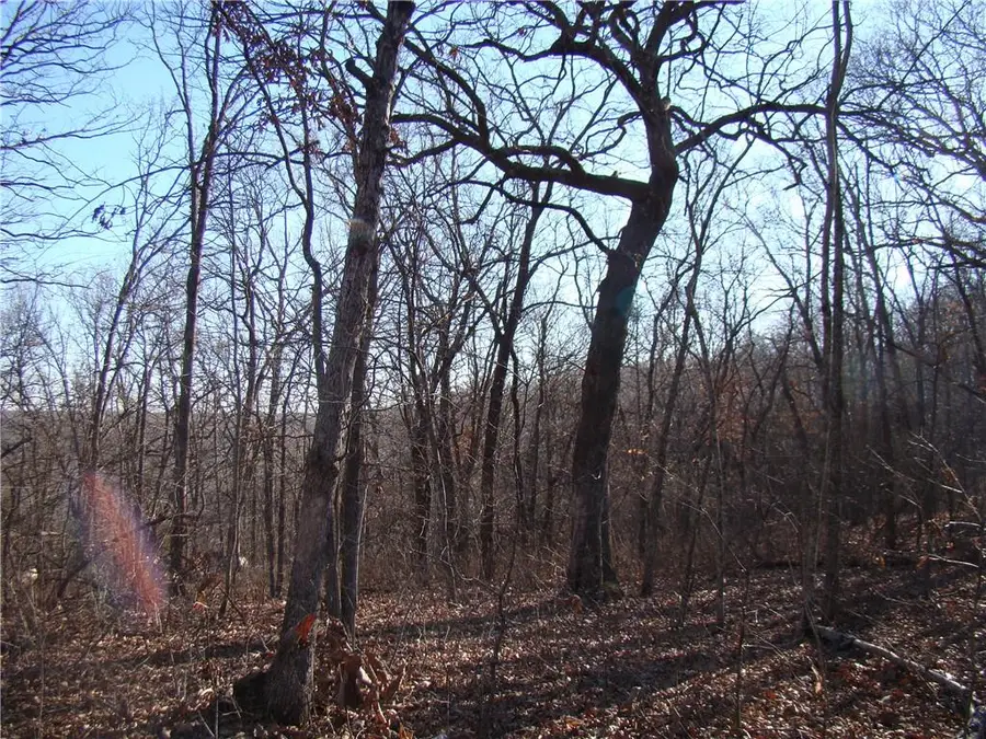 Gore Road, Lincoln, MO 65338 - Image #3