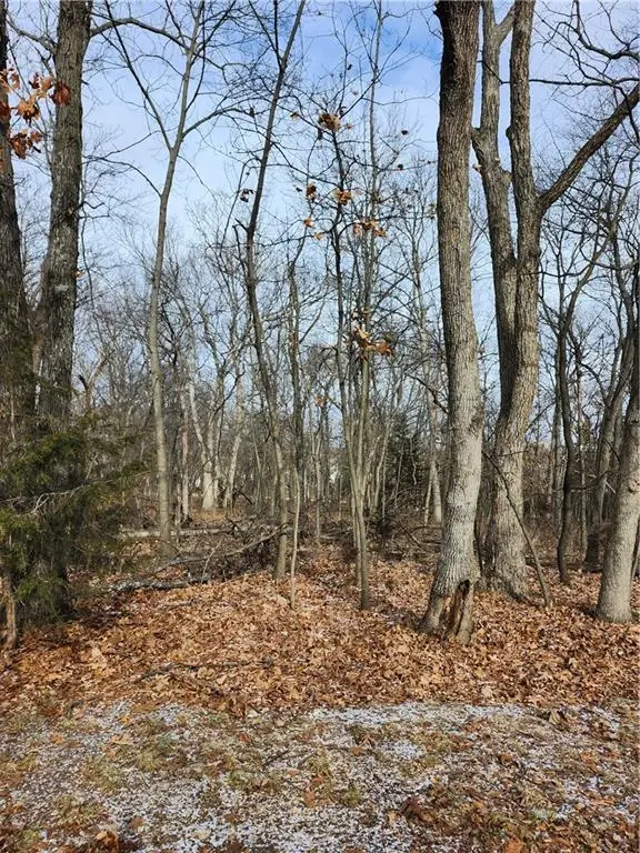 145 Fascination Lane, Linn Valley, KS 66040 - Image #1