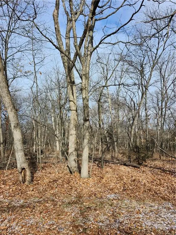 145 Fascination Lane, Linn Valley, KS 66040 - Image #2