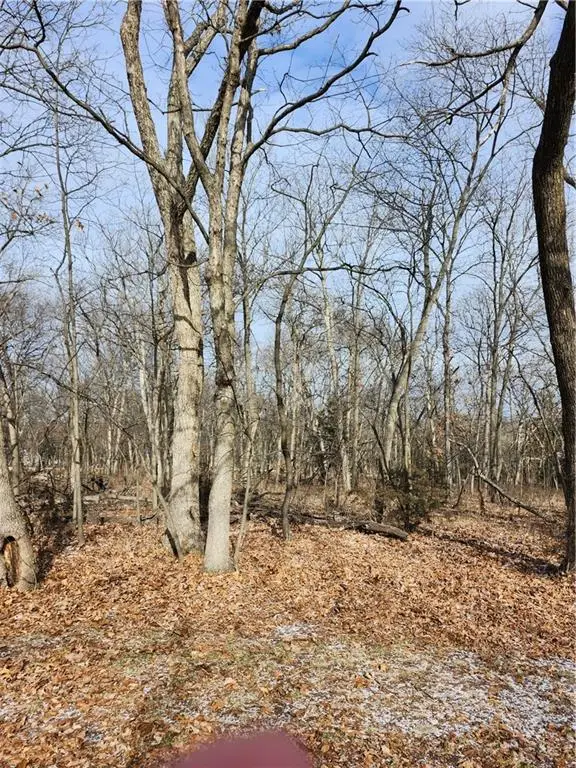 145 Fascination Lane, Linn Valley, KS 66040 - Image #3