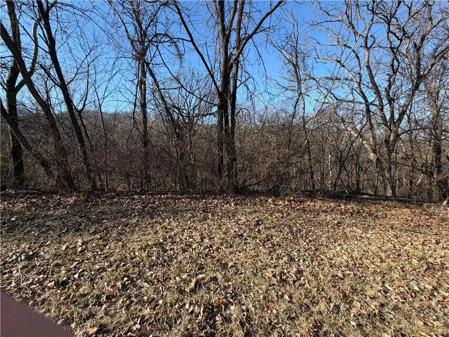 High Drive, Excelsior Springs, MO 64024 - #3