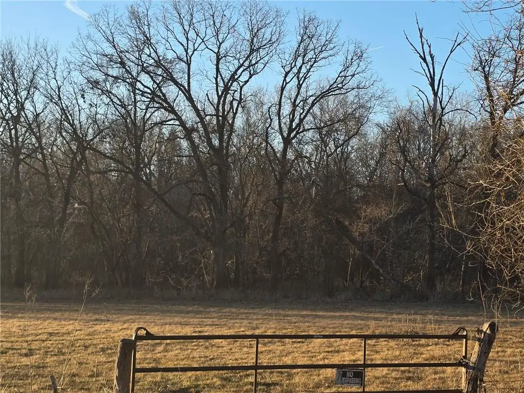 000 SW 51 40+/- Acres Road, Deepwater, MO 64740 - Image #1