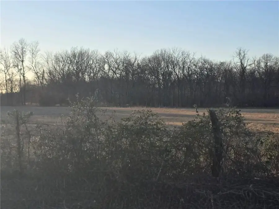 000 SW 51 40+/- Acres Road, Deepwater, MO 64740 - Image #2