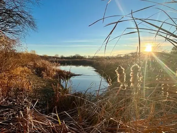 11.77 Acres N 972 Road, Lawrence, KS 66047