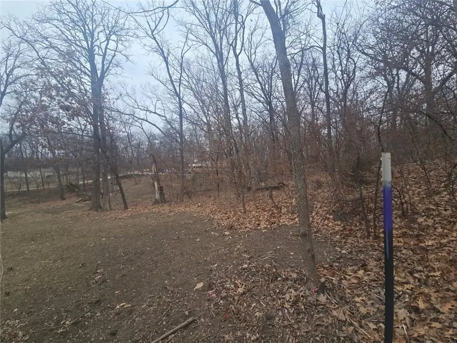 32265 Chaela Lane, Excelsior Springs, MO 64024 - Image #3