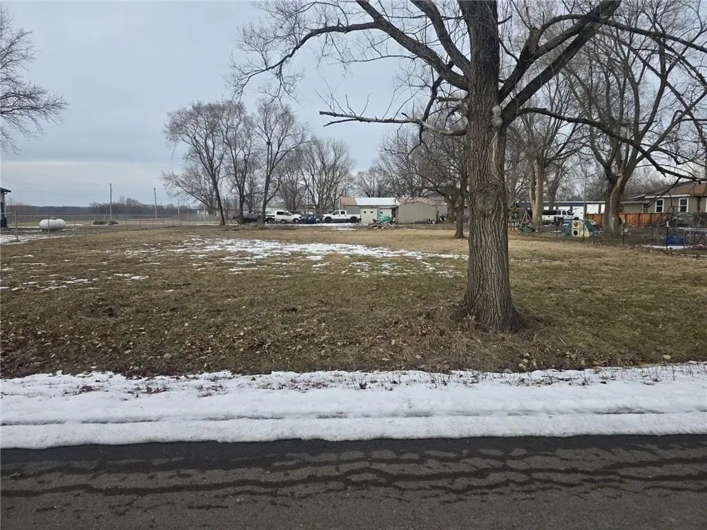 725 Pearl Street, East Lynne, MO 64743 - #1