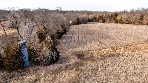 Flint Avenue, Jameson, MO 64647