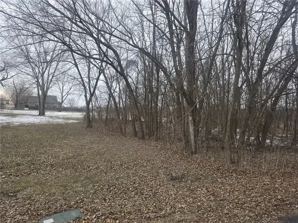 N Washington Street, East Lynne, MO 64743