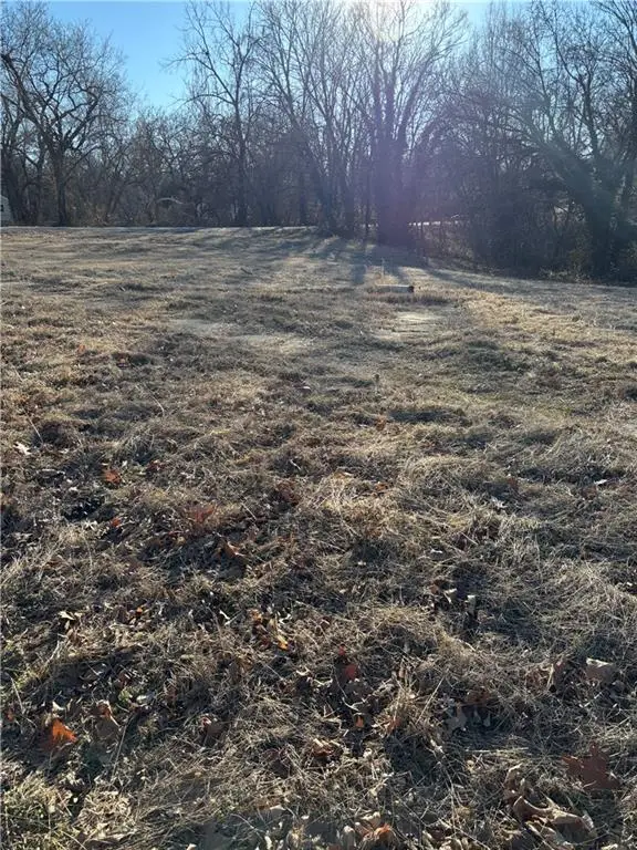 209 Hightower Street, El Dorado Springs, MO 64744 - #1