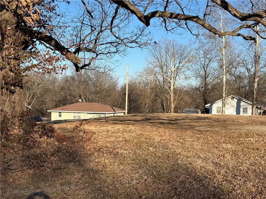 307/301 W Spring Street, El Dorado Springs, MO 64744 - #1