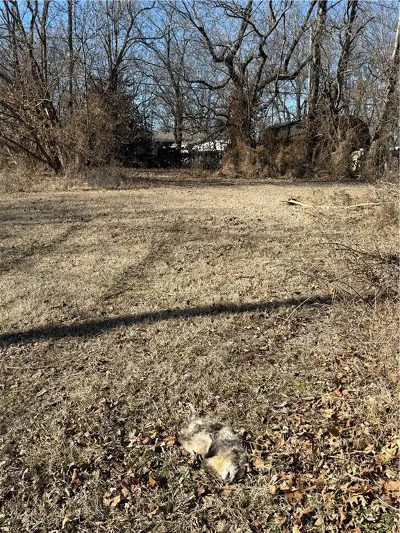 624 S Broadway Street, Fort Scott, KS 66701 - #1