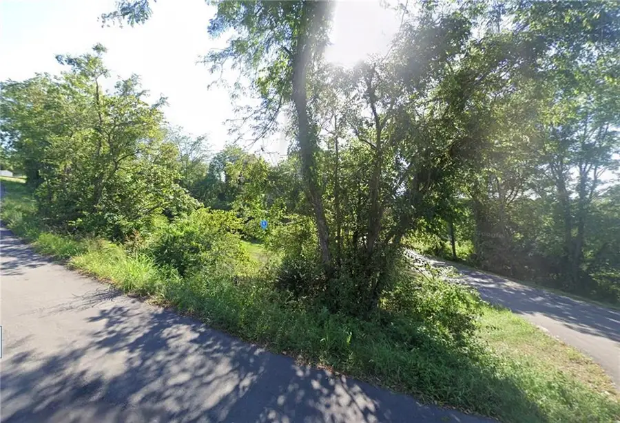 205 Bluejay Way, Ridgedale, MO 65739 - #2