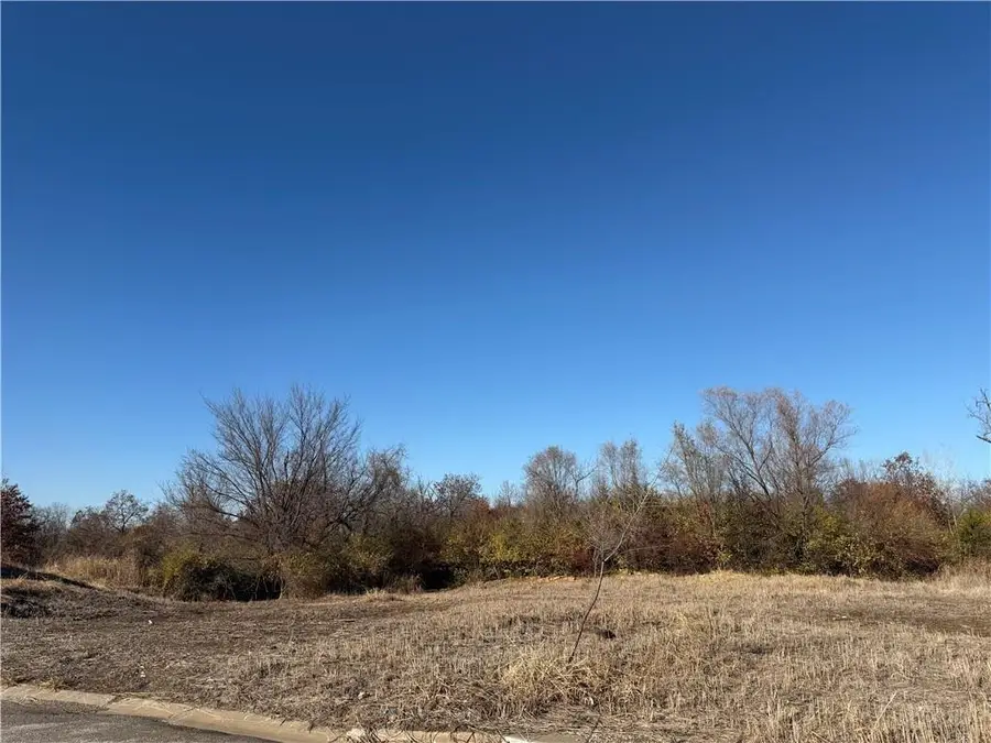 4537 Appleton Avenue, Kansas City, MO 64133 - #3