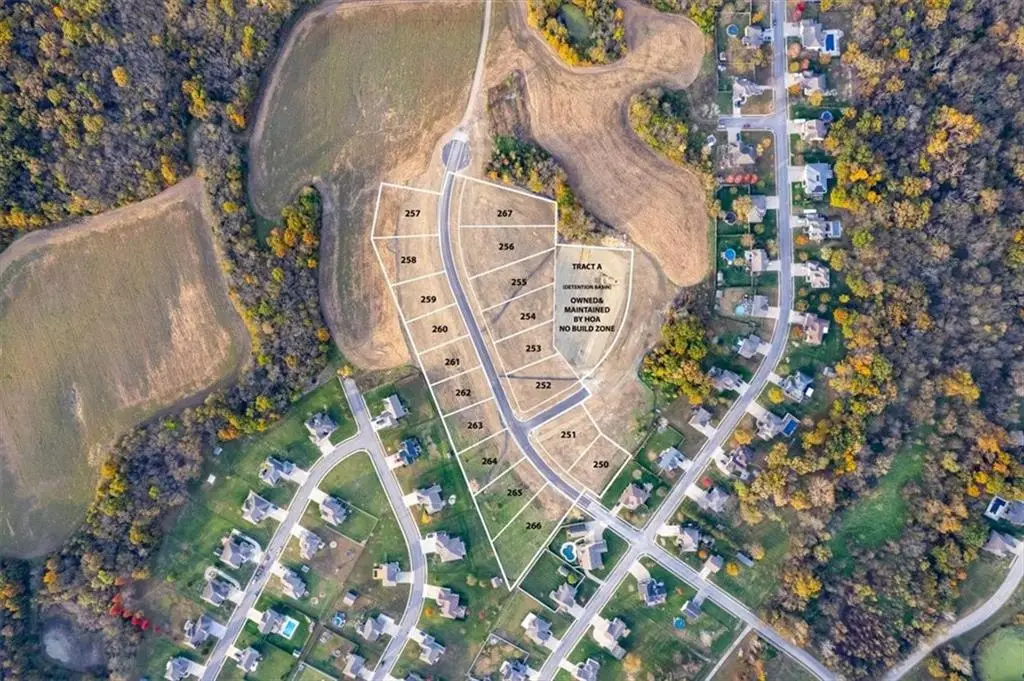 1407 Mulberry Street, Pleasant Hill, MO 64080 - #1