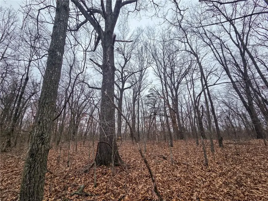 67 N Dade 237 Road, Walnut Grove, MO 65770 - #2