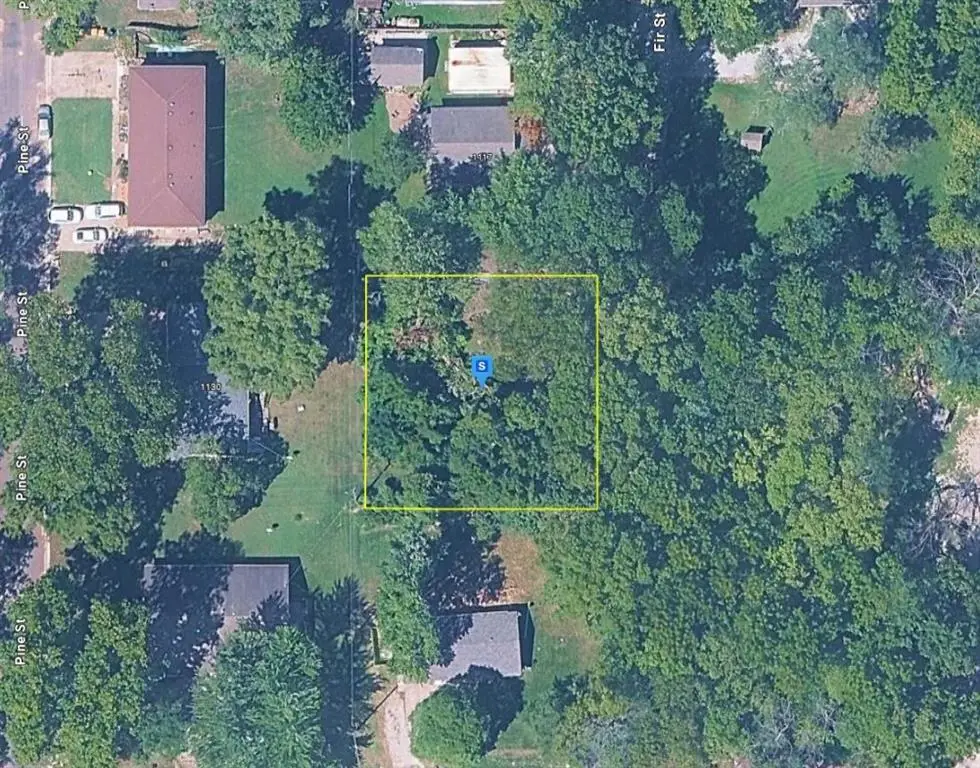 1119 Fir Street, Eudora, KS 66025 - #1